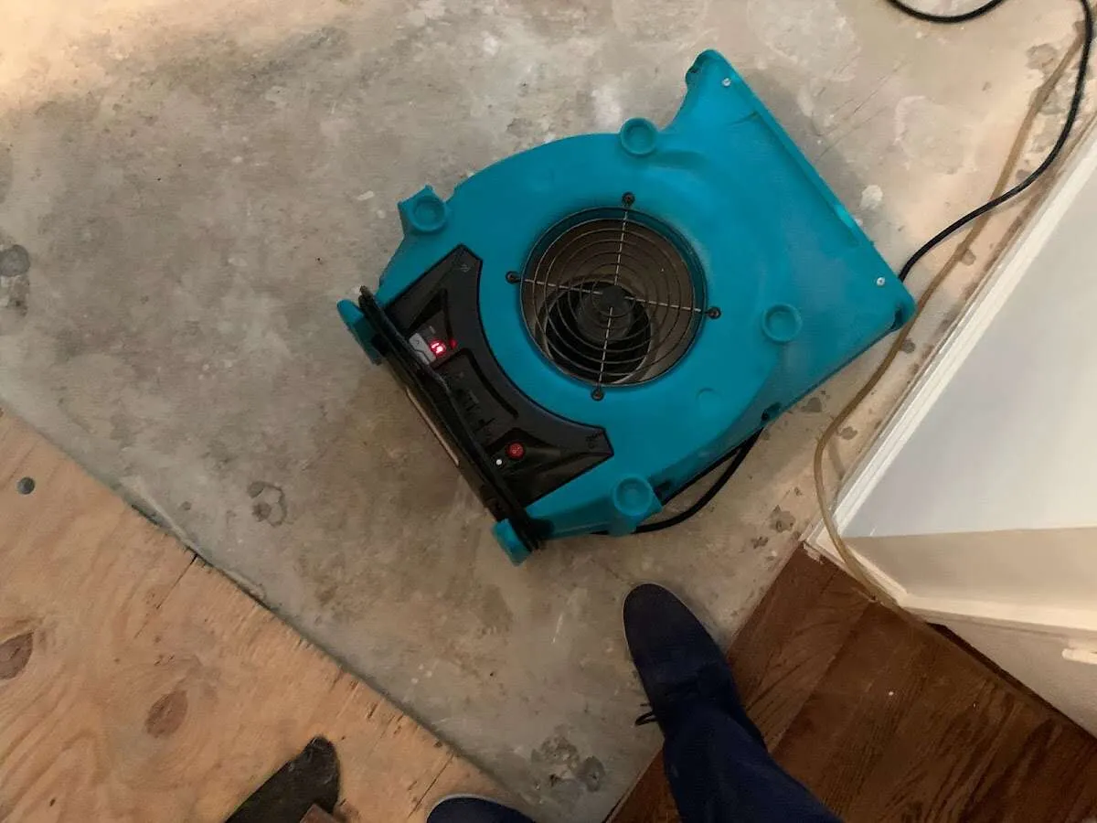 Air mover drying subfloor during Leak Detection & Repair in Bear Creek